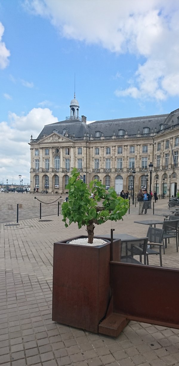Place de la Bourse im Zentrum von Bordeaux