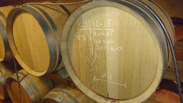 Château L´Escart | Die 3 Demeter-Weine Jahrgang 2018 | 18er Paket